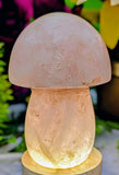 Rose Quartz Mushroom Carving