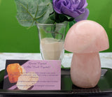 Rose Quartz Mushroom Carving