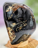 Indonesian Amber Freeform ♥️
