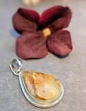 Petrified Wood Pendant in Sterling Silver