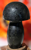 Black Onyx Mushroom Carving