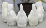 Marble Cockatoo Carvings