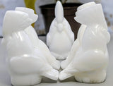 Marble Cockatoo Carvings
