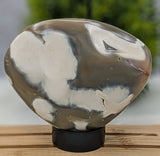 Polished Orca Agate Freeform