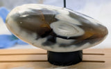 Polished Orca Agate Freeform