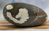 Polished Orca Agate Freeform