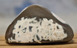 Polished Orca Agate Freeform