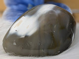 Polished Orca Agate Freeform