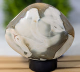 Polished Orca Agate Freeform