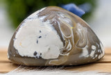 Polished Orca Agate Freeform