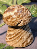 Aragonite Mushroom Carving