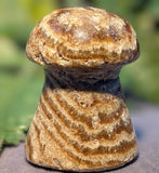 Aragonite Mushroom Carving