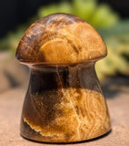 Petrified Wood Mushroom Carving