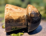 Petrified Wood Mushroom Carving