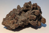 Coprolite Specimen (Ancient Fossilized Feces)