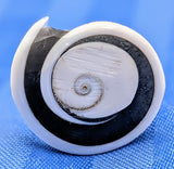 Shell Ring- Size 5