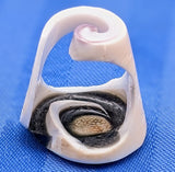 Shell Ring- Size 9