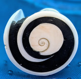Shell Ring- Size 9
