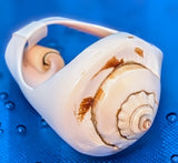 Shell Ring- Size 10
