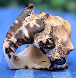 Shell Ring- Size 6.5