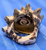 Shell Ring- Size 6