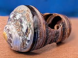 Shell Ring- Size 6