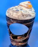 Shell Ring- Size 5.5
