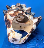 Shell Ring- Size 5
