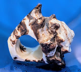 Shell Ring- Size 5