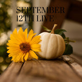 13133 September 12th Live 2023