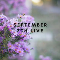 13751 September 7th Live 2023
