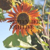 16055 September 10th Live 2023