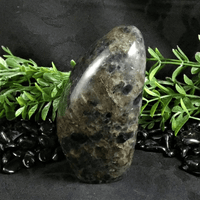 Iolite Free Form