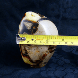 Polished Freestanding Septarian Nodule