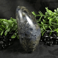Iolite Free Form