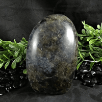 Iolite Free Form