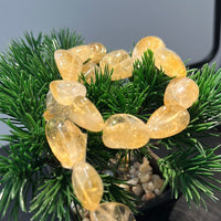 Citrine Bead Strand XL Nugget