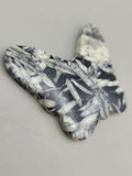 Canadian Pinolith Butterfly Carving Quartz Creek, B.C.