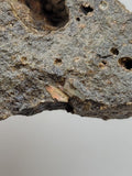 Canadian Opal In Matrix~ Burns Lake, B.C.