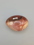 Petrified Wood
