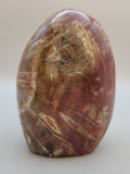 Petrified Wood Free Form