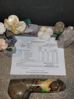 ducklife_xoxo Garage Sale August 28th 2025 Live