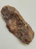 Canadian Chalcopyrite~ Tofino, B.C.