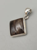 Canadian Petrified Wood Pendant Set in .925 Sterling Silver