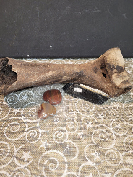 16490 September 6th 2025 Live