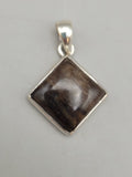 Canadian Petrified Wood Pendant Set in .925 Sterling Silver