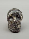 Canadian Staurolite & Garnet Skull Carving Kinbasket, B.C.
