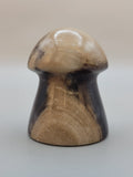 Petrified Wood Mushroom Carving ♥️