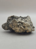 Canadian Pyrite~ Pine Point, N.W.T.