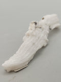 Ram Horn Selenite